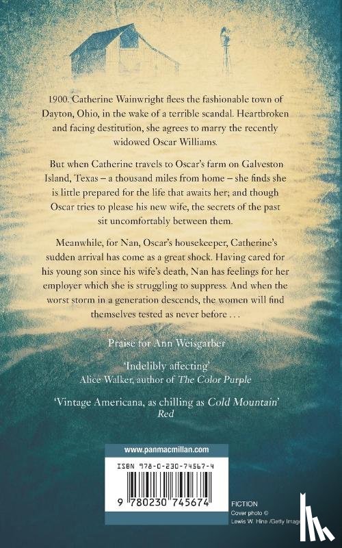 Weisgarber, Ann - The Promise