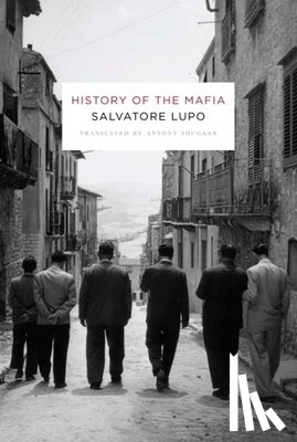 Lupo, Salvatore - History of the Mafia