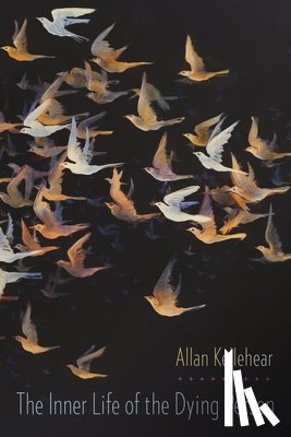Kellehear, Allan (Professor of Community Health - The Inner Life of the Dying Person