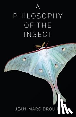 Drouin, Jean-Marc - A Philosophy of the Insect