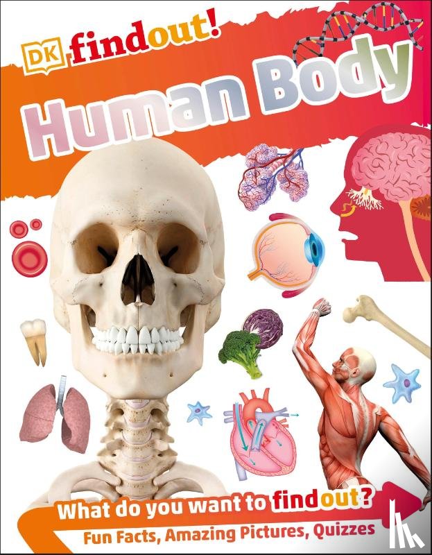 DK - DKfindout! Human Body