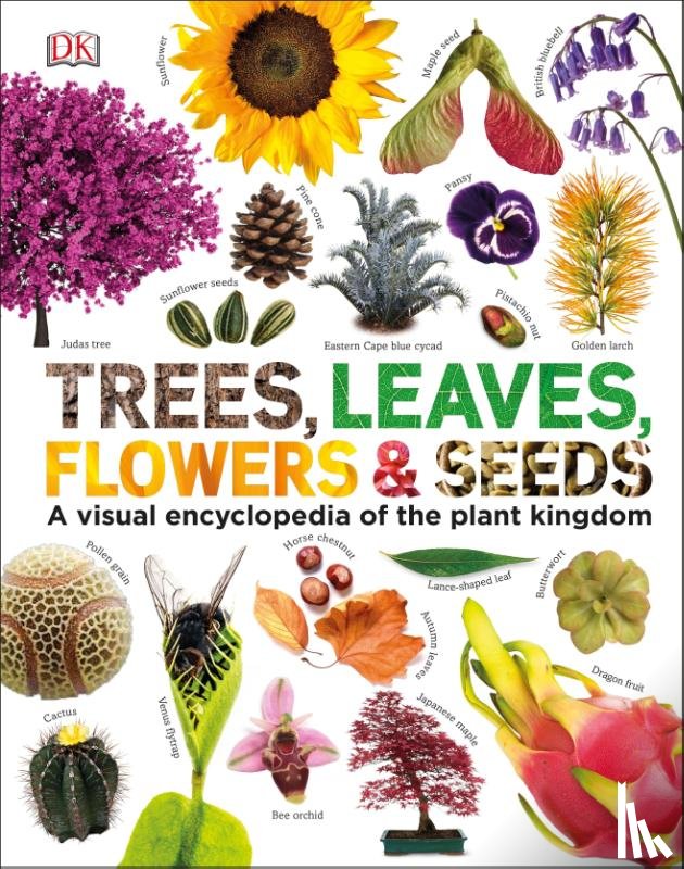 DK - Our World in Pictures: Trees, Leaves, Flowers & Seeds