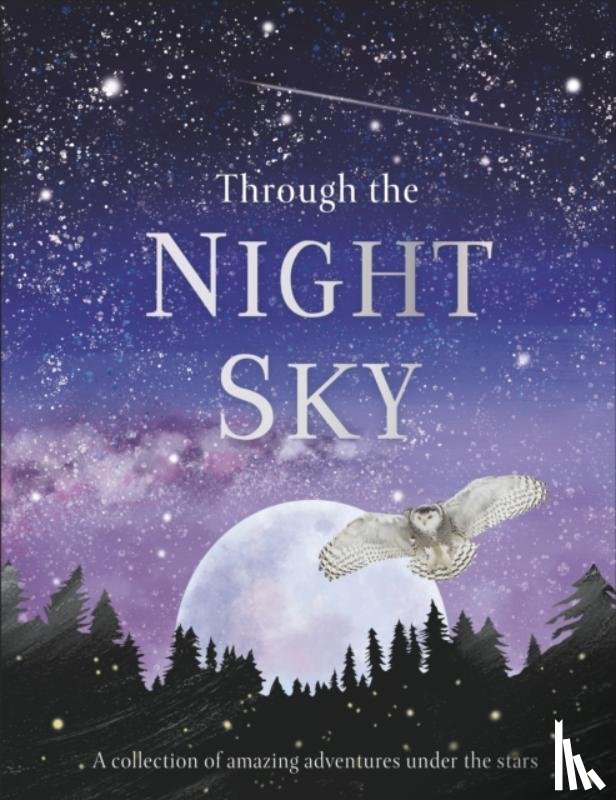 DK - Through the Night Sky