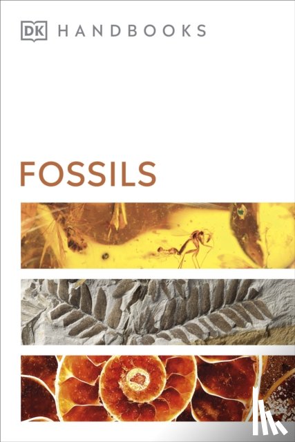 DK, Ward, David - Fossils
