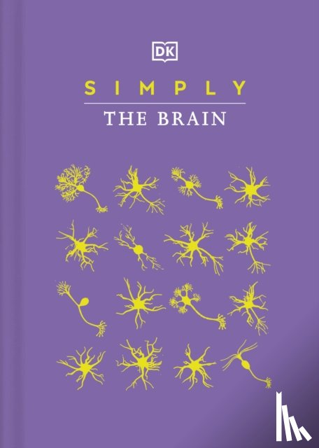 DK - Simply The Brain