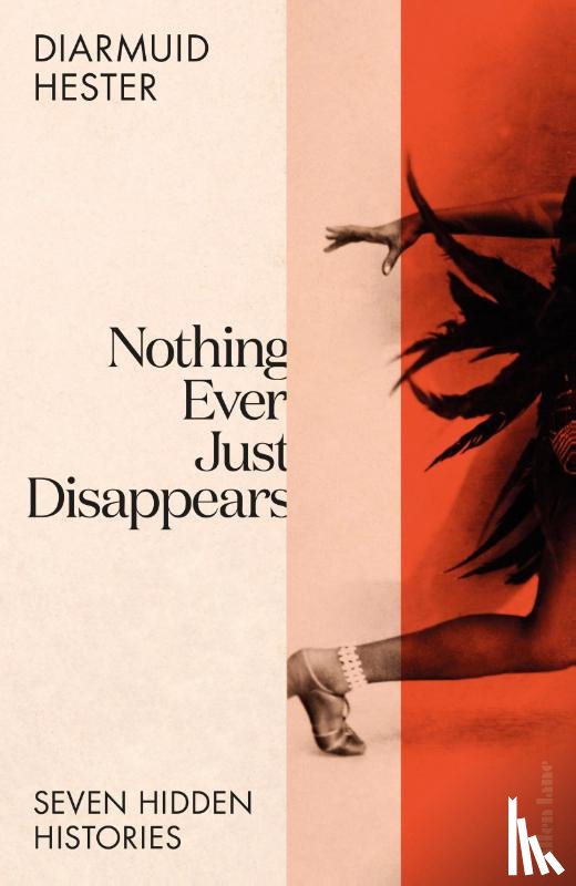 Hester, Diarmuid - Nothing Ever Just Disappears