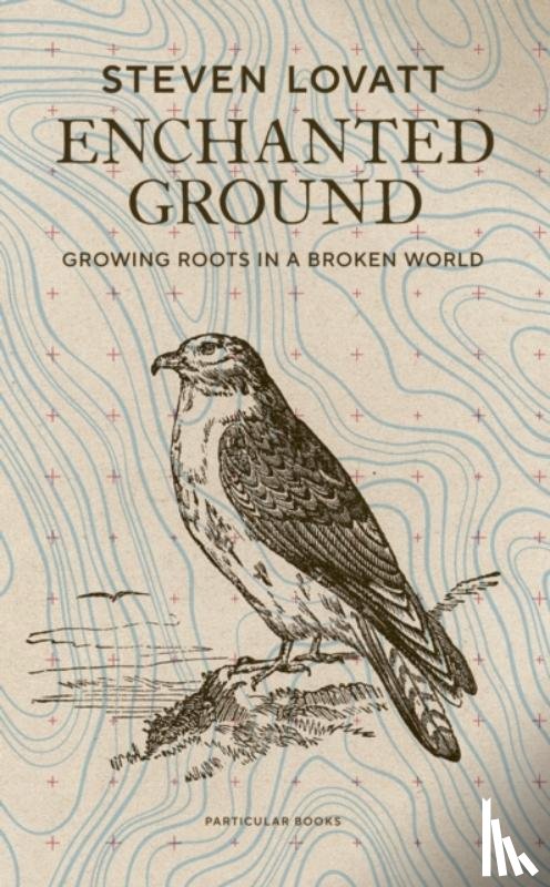 Lovatt, Steven - Enchanted Ground
