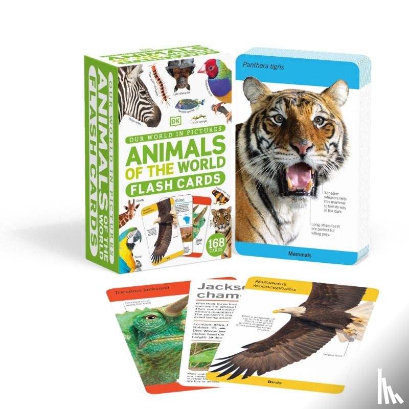 DK - Our World in Pictures Animals of the World Flash Cards