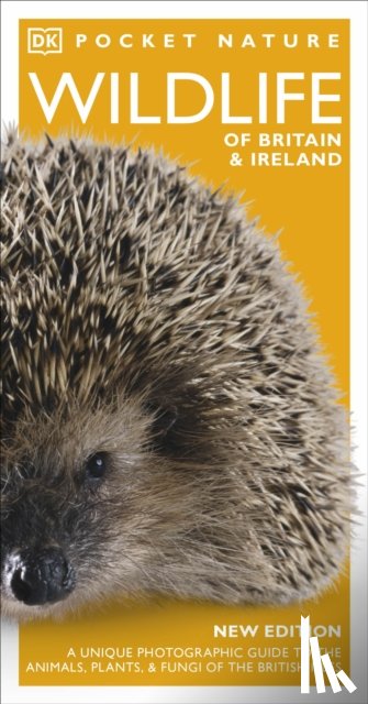 DK - Pocket Nature Wildlife of Britain and Ireland