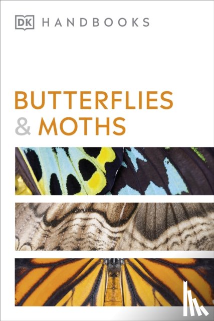 Carter, David - Butterflies and Moths