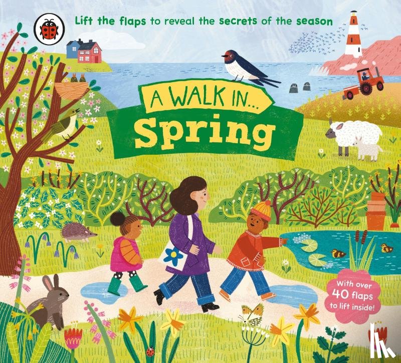 Ladybird, Cobden, Rose - A Walk in Spring