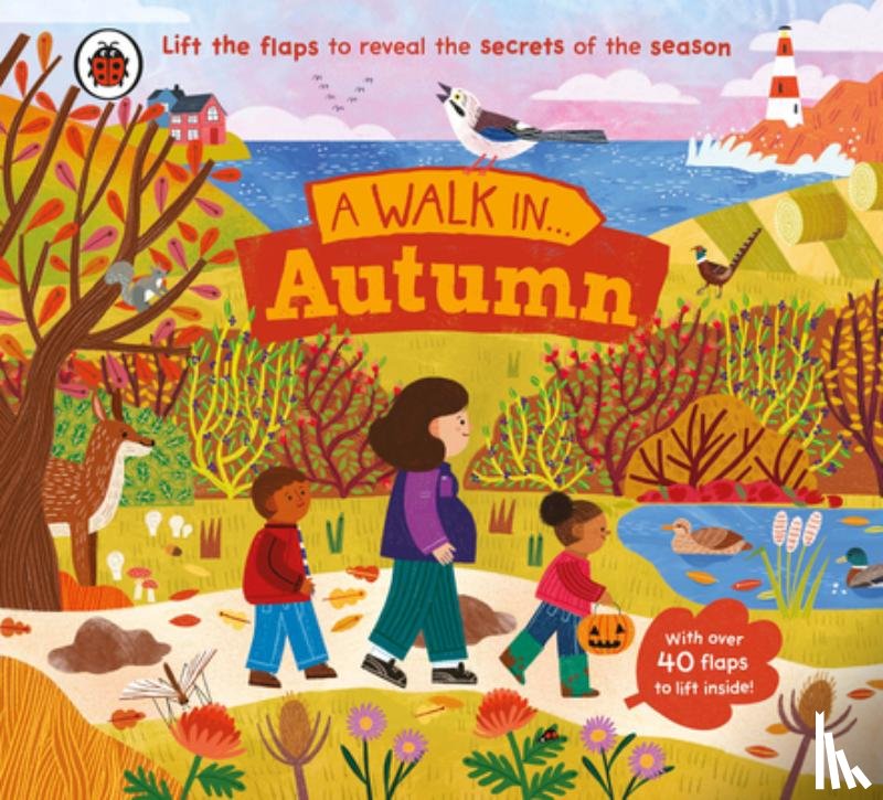Ladybird, Cobden, Rose - A Walk in Autumn