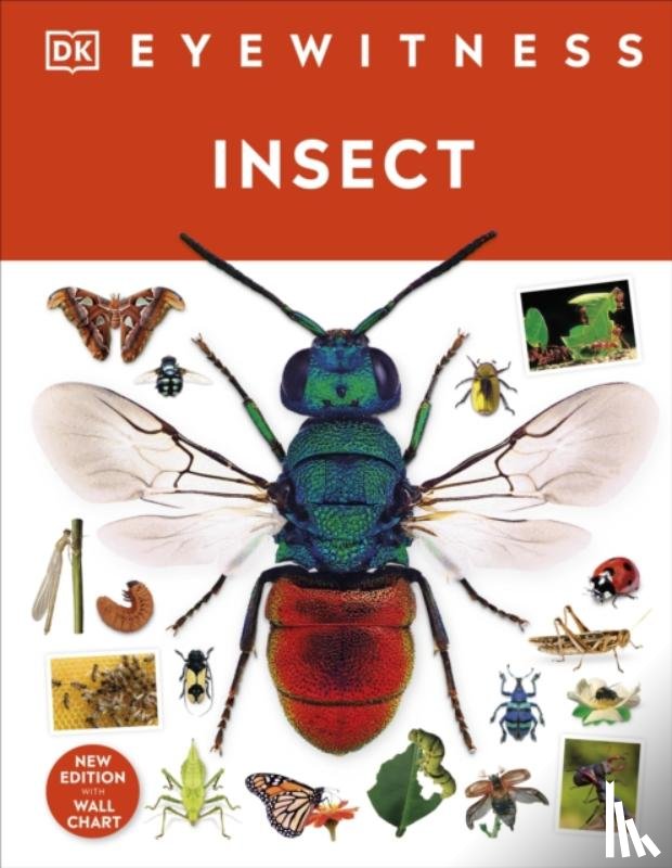DK - Insect