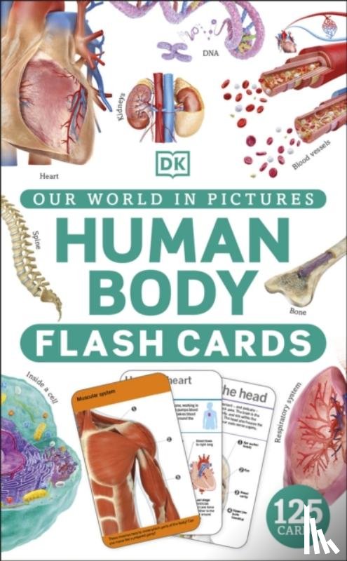 DK - Our World in Pictures Human Body Flash Cards