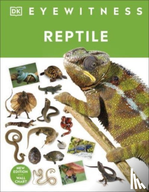 McCarthy, Colin - Reptile