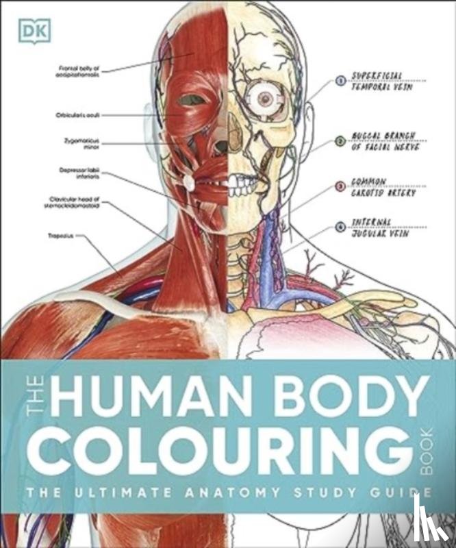 DK - The Human Body Colouring Book