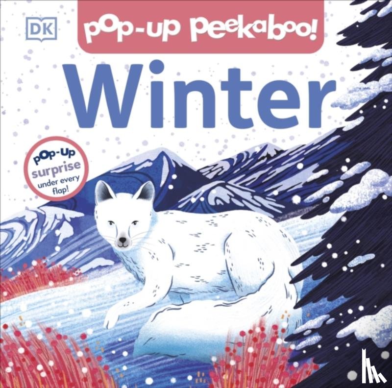 DK - Pop-up Peekaboo! Winter