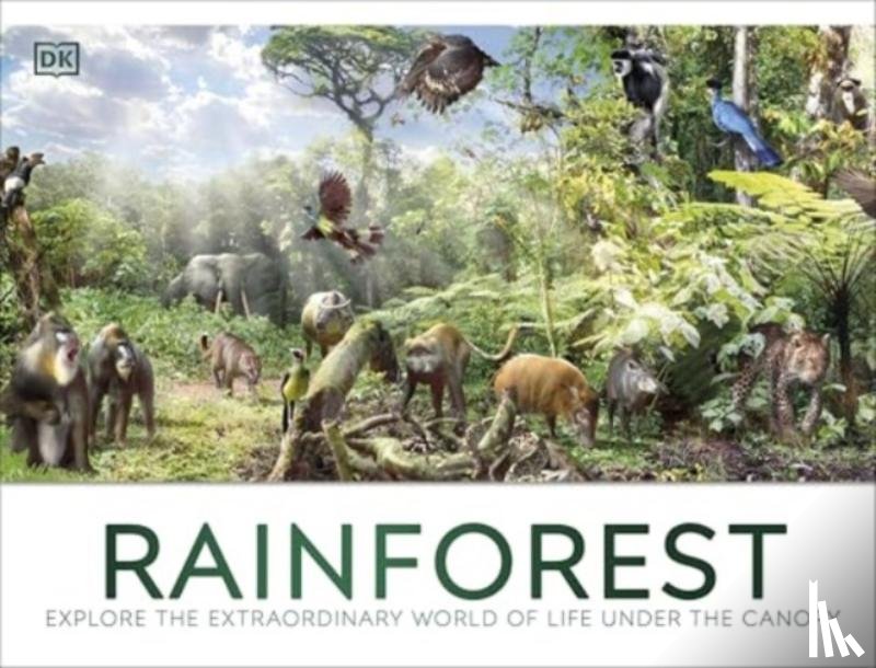 DK - Rainforest