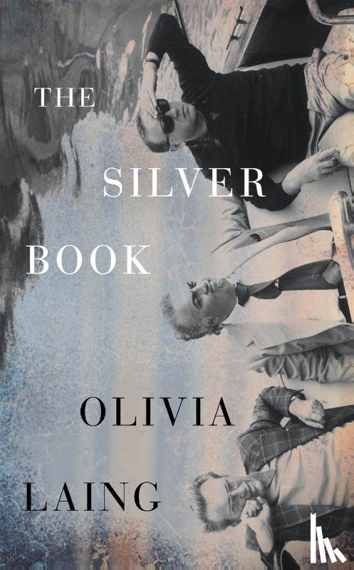 Laing, Olivia - The Silver Book