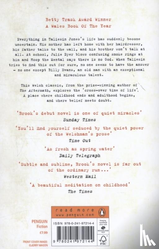 Brook, Rhidian - The Testimony of Taliesin Jones