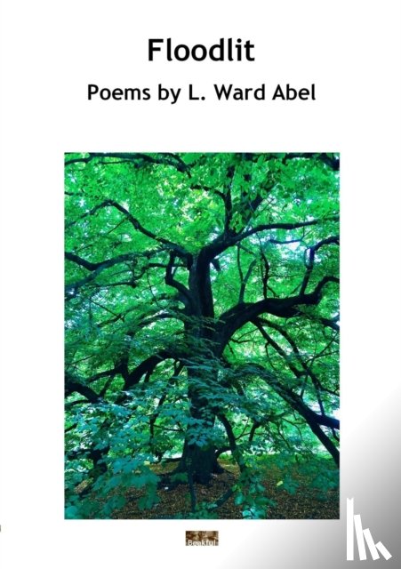 Abel, L. Ward - Floodlit