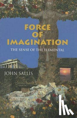 Sallis, John - Force of Imagination