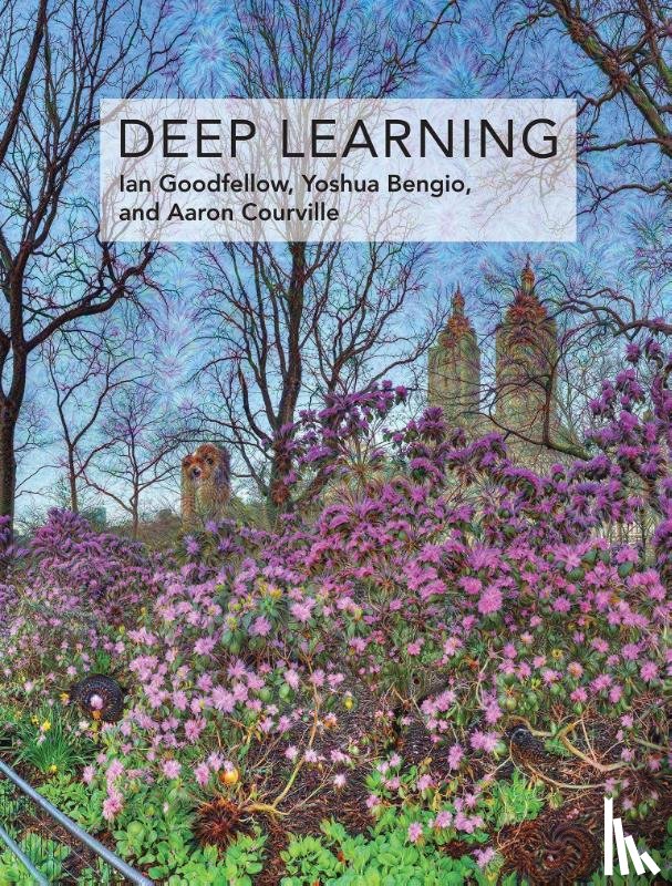 Goodfellow, Ian (Senior Research Scientist, Bengio, Yoshua (Full Professor, Courville, Aaron (Assistant Professor - Deep Learning