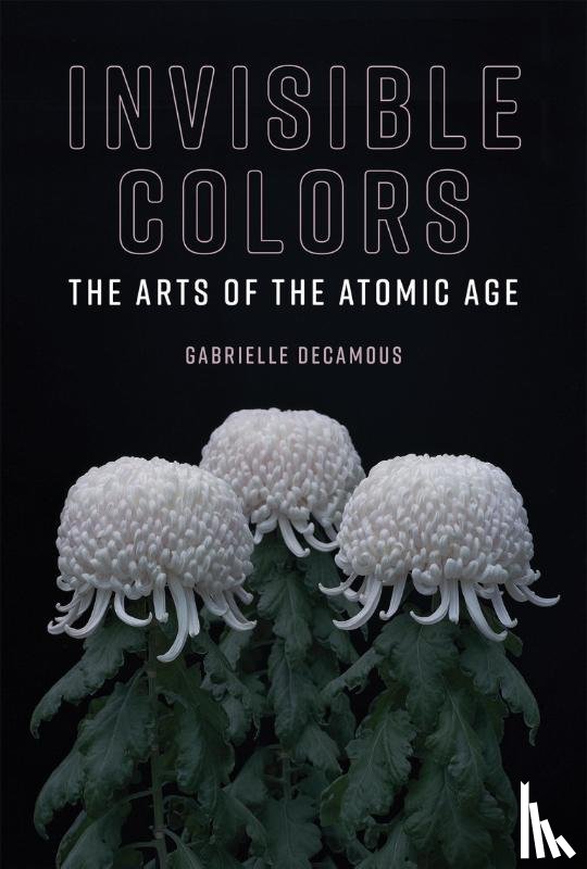 Decamous, Gabrielle (Associate Professor - Invisible Colors