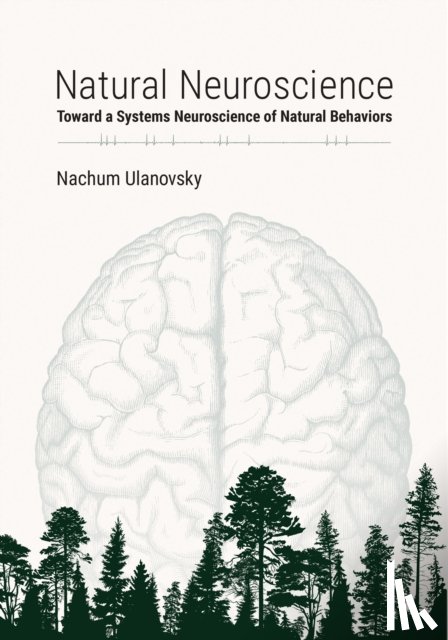 Ulanovsky, Nachum - Natural Neuroscience