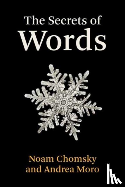 Chomsky, Noam, Moro, Andrea - The Secrets of Words