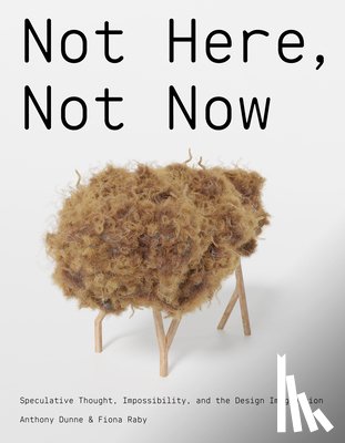 Dunne, Anthony, Raby, Fiona - Not Here, Not Now