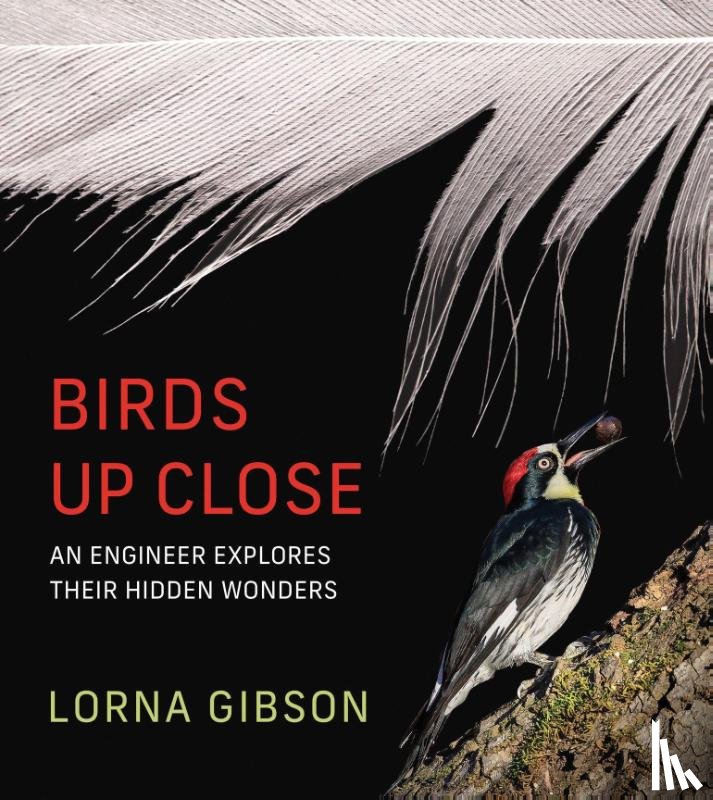 Gibson, Lorna - Birds Up Close