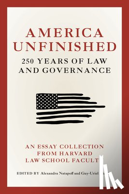 Natapoff, Alexandra, Charles, Guy-Uriel E. - America Unfinished