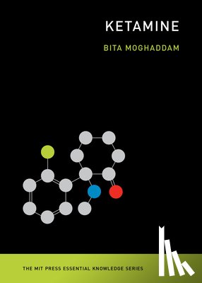 Moghaddam, Bita - Ketamine