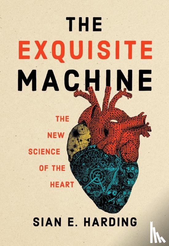 Harding, Sian E. - The Exquisite Machine