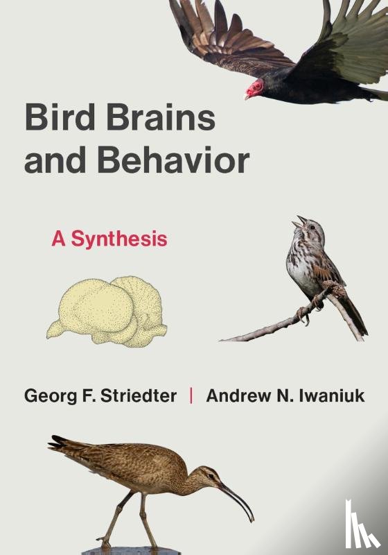Striedter, Georg F., Iwaniuk, Andrew - Bird Brains and Behavior