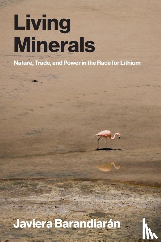 Barandiaran, Javiera - Living Minerals
