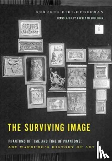 Didi-Huberman, Georges - The Surviving Image