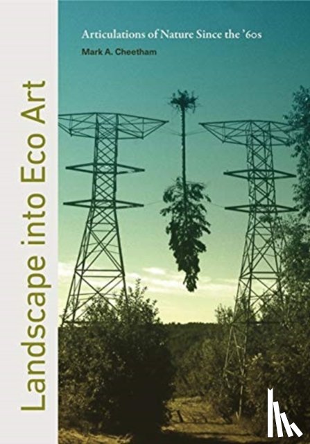 Cheetham, Mark (Continuing Senior Fellow) - Landscape into Eco Art
