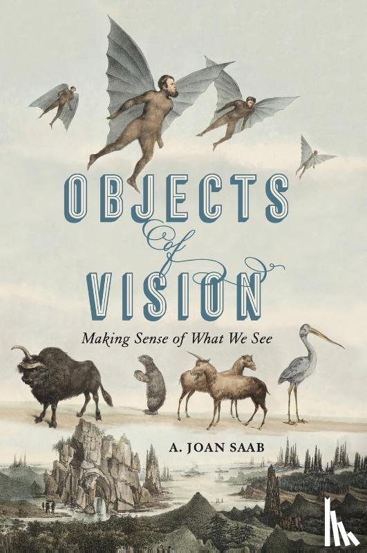 Saab, A. Joan (Susan B. Anthony Professor - Objects of Vision