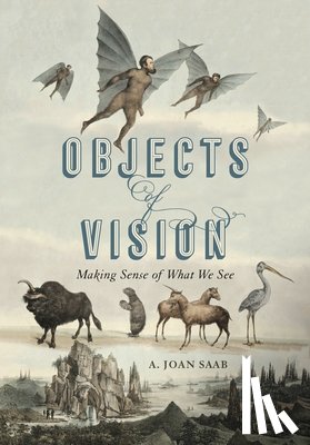 Saab, A. Joan (Susan B. Anthony Professor - Objects of Vision