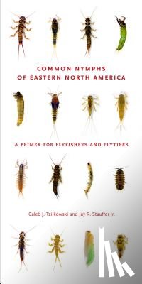 Tzilkowski, Caleb J. (Aquatic Ecologist, Stauffer Jr., Jay R. (Distinguished Professor of Ichthyology - Common Nymphs of Eastern North America