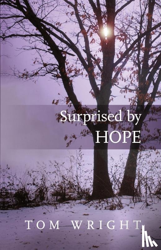 Wright, Tom - Surprised by Hope