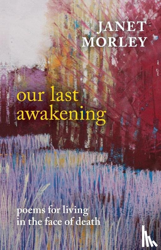 Morley, Janet - Our Last Awakening