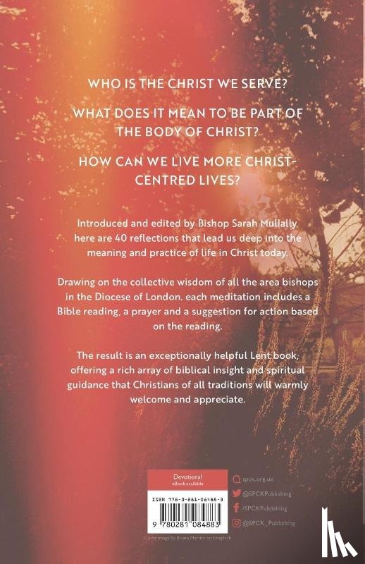 Mullally, Sarah - Rooted in Love