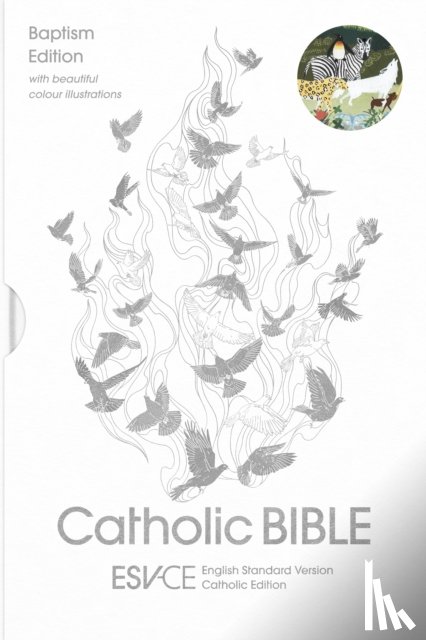 Bibles, SPCK ESV-CE - ESV-CE Catholic Bible. The Official Catholic Liturgical Bible for England, Wales and Scotland from Advent 24
