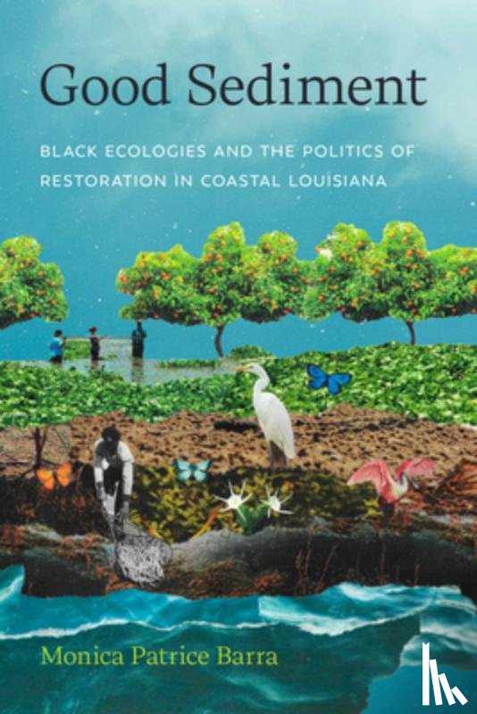 Barra, Monica Patrice - Good Sediment