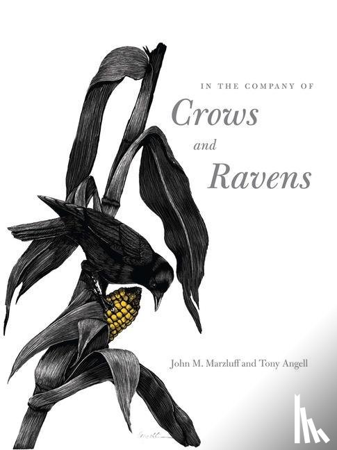 Marzluff, John M., Angell, Tony - In the Company of Crows and Ravens