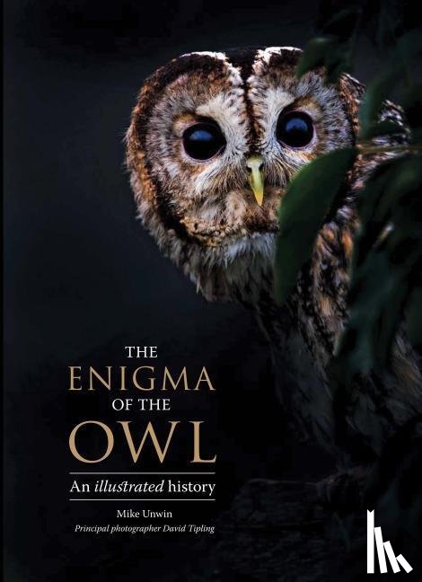 Unwin, Mike, Tipling, David, Angell, Tony - ENIGMA OF THE OWL