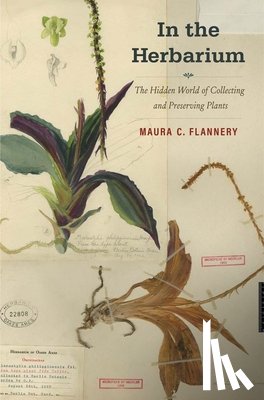 Flannery, Maura C. - In the Herbarium